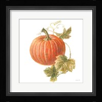 Floursack Autumn VIII on White Framed Print