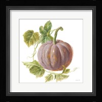 Floursack Autumn VII on White Framed Print