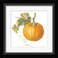 Floursack Autumn VI on White Framed Print