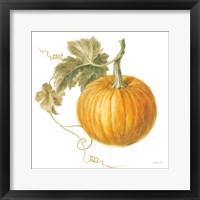 Floursack Autumn VI on White Framed Print