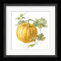 Floursack Autumn V on White Framed Print