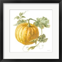 Floursack Autumn V on White Framed Print