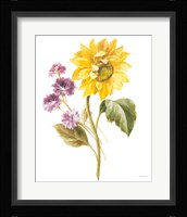 Floursack Autumn III on White Framed Print