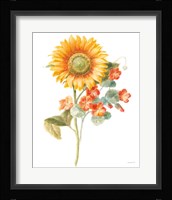 Floursack Autumn IV on White Framed Print