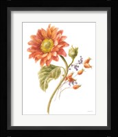 Floursack Autumn II on White Framed Print