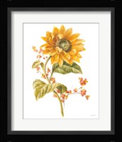 Floursack Autumn I on White Framed Print