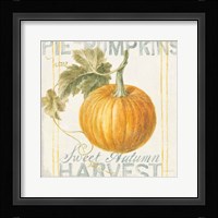Floursack Autumn VI Framed Print
