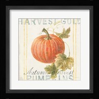 Floursack Autumn VIII Framed Print