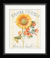 Floursack Autumn IV Framed Print