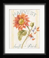 Floursack Autumn II Framed Print