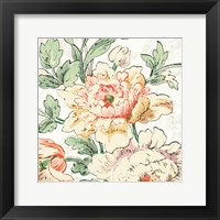 Cottage Roses VI Framed Print
