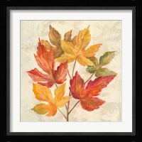 November Leaves IV Framed Print