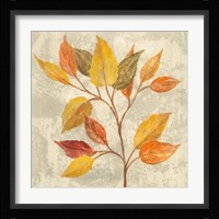 November Leaves II Framed Print