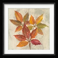 November Leaves I Framed Print