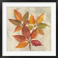 November Leaves I Framed Print