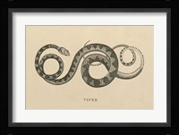 Vintage Viper Fine Art Print