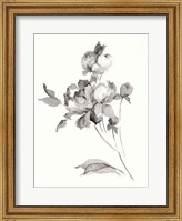 Peony Blossoms Gray Fine Art Print