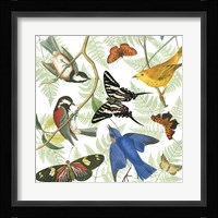 Natures Flight II Framed Print