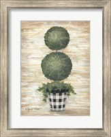 Gingham Topiary Spheres Fine Art Print