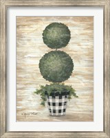 Gingham Topiary Spheres Fine Art Print