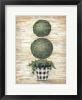 Gingham Topiary Spheres Framed Print