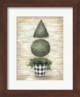 Gingham Topiary Cone Fine Art Print