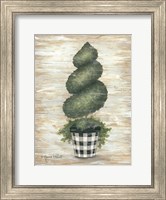 Gingham Topiary Spiral Fine Art Print