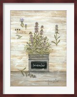 Lavender Botanical Fine Art Print
