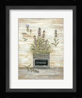 Lavender Botanical Framed Print