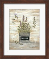 Lavender Botanical Fine Art Print