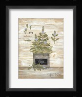 Sage Botanical Framed Print