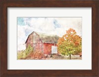 Autumn Maple by the Barn Fine Art Print