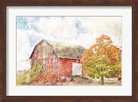 Autumn Maple by the Barn Fine Art Print