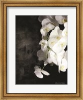 Contemporary White Orchids Fine Art Print