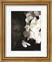 Contemporary White Orchids Fine Art Print