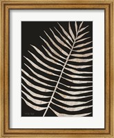 Palm Frond Wood Grain I Fine Art Print