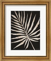 Palm Frond Wood Grain IV Fine Art Print