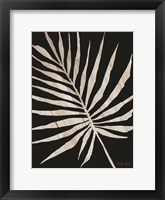 Palm Frond Wood Grain IV Framed Print