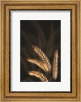 Golden Grass I Fine Art Print