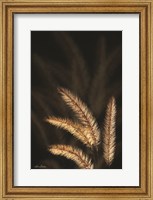 Golden Grass I Fine Art Print