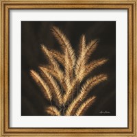 Golden Grass II Fine Art Print