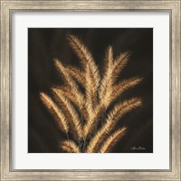 Golden Grass II Fine Art Print