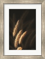 Golden Grass III Fine Art Print
