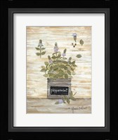 Peppermint Botanical Framed Print