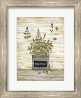 Peppermint Botanical Fine Art Print