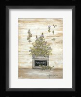 Rosemary Botanical Framed Print