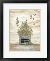 Rosemary Botanical Framed Print