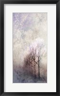 First Light Winter Forest Fine Art Print