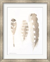 Neutral Feathers Study Fine Art Print