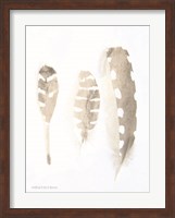 Neutral Feathers Study Fine Art Print